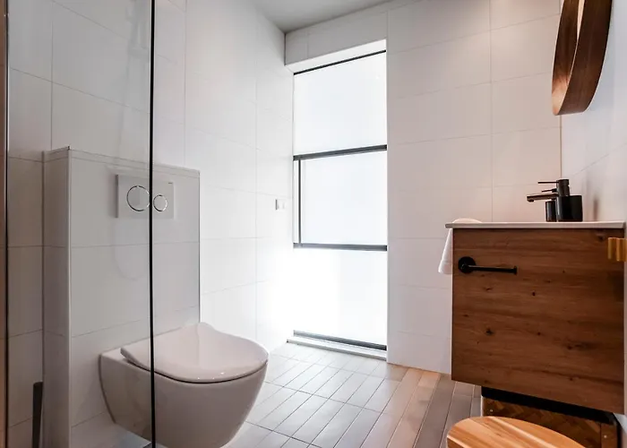 Апартаменты Spacious Luxury Loft Зандфорт