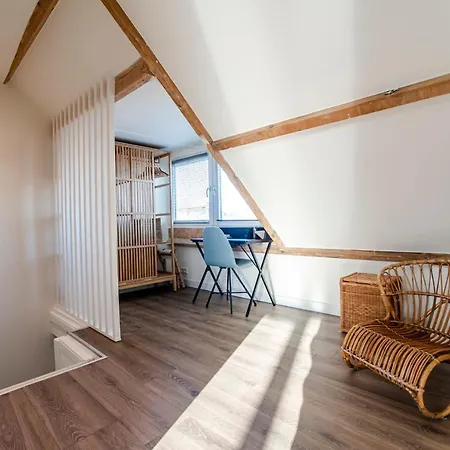 Spacious Luxury Loft Apartment Zandvoort
