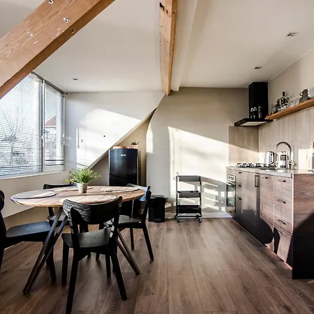 Spacious Luxury Loft Apartment Zandvoort