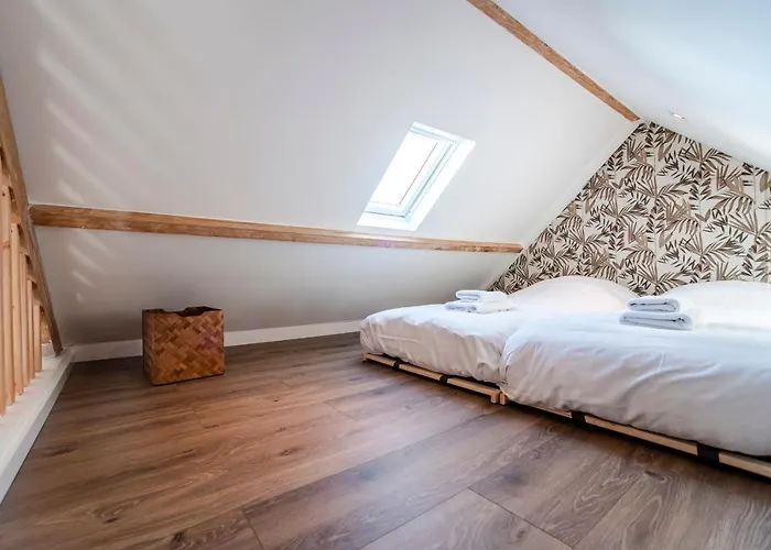 Daire Spacious Luxury Loft Zandvoort