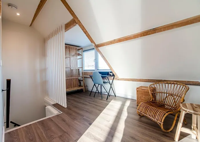 Spacious Luxury Loft Daire Zandvoort