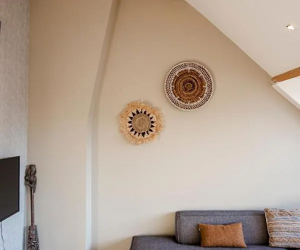 Spacious Luxury Loft Daire Zandvoort