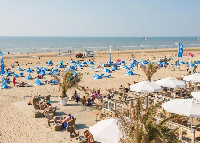 Spacious Luxury Loft *